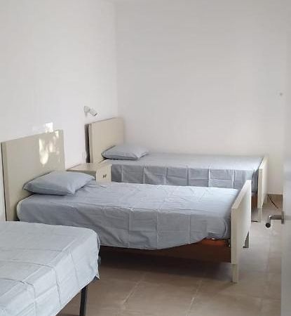 Pis Carretera Santa Pau Apartman Olot Kültér fotó