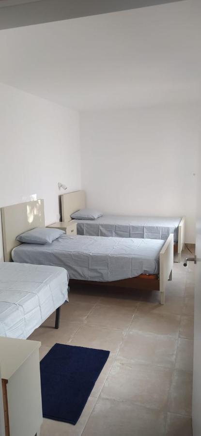 Pis Carretera Santa Pau Apartman Olot Kültér fotó